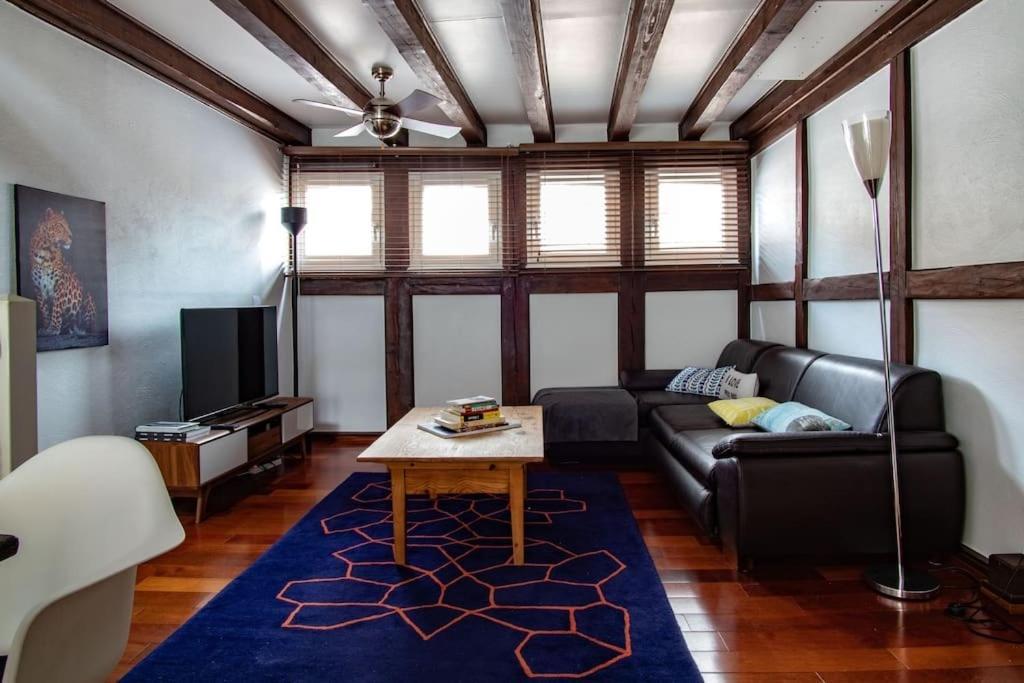 L'Or - Typical Alsacian Apartment In Strasbourg Exterior foto